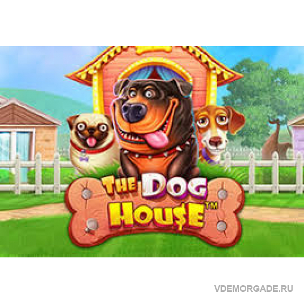 Dog house слот играть дог хаус