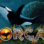 Orca - яркие игровые автоматы для всех любителей океана