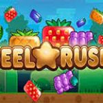 Что мы знаем про игровой автомат Reel Rush...