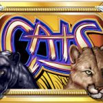 Игровой автомат «Cats» от казино Вулкан: как правильно зарабатывать