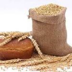 Как хранить семена пшеницы