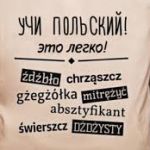 Как лучше всего учить польский язык?