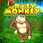 Особенности увлекательного слота Crazy Monkey