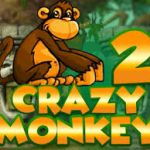 Преимущества игрового автомата "Crazy Monkey 2" в клубе Вулкан Удачи