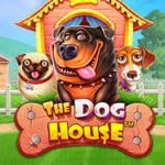 Рейтинг игр казино онлайн. Секреты игрового автомата The Dog House