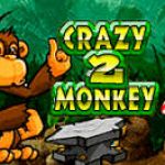 Виртуальное путешествие с игровым автоматом «Crazy Monkey 2»